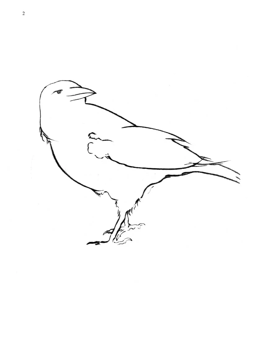 Bolcom Bird Spirits - Image 6