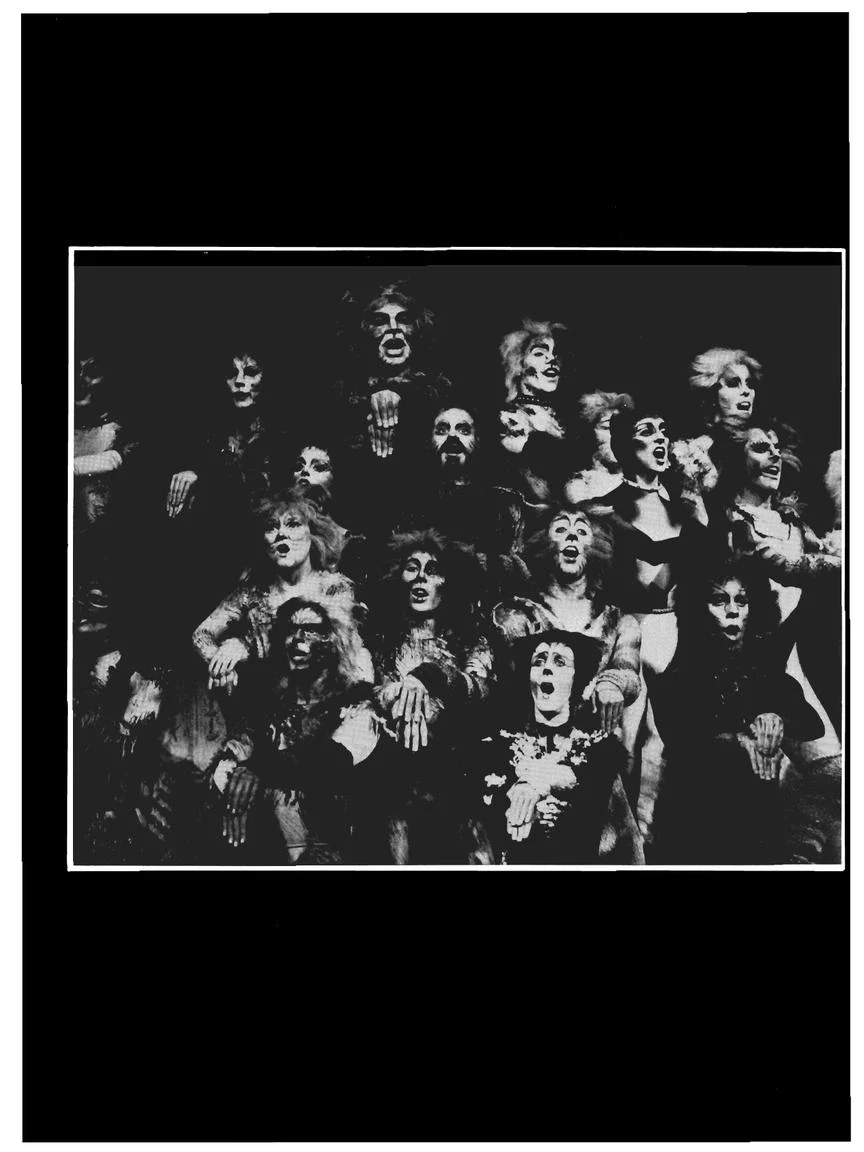 Cats - Vocal Selection - Image 3