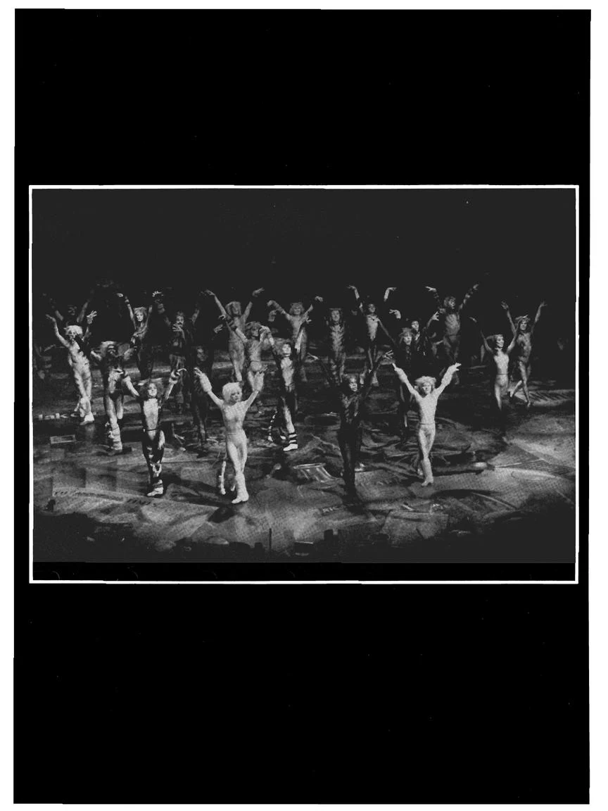 Cats - Vocal Selection - Image 6