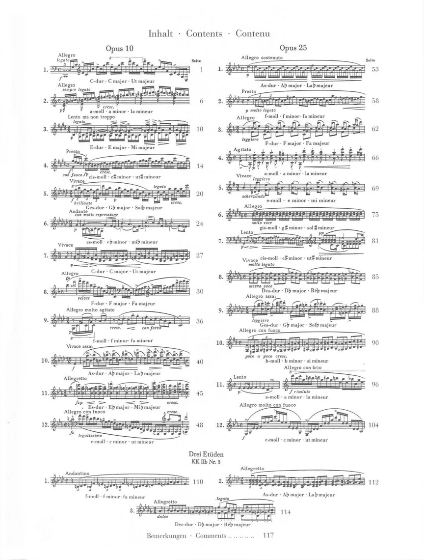 Chopin: Etudes - Image 2