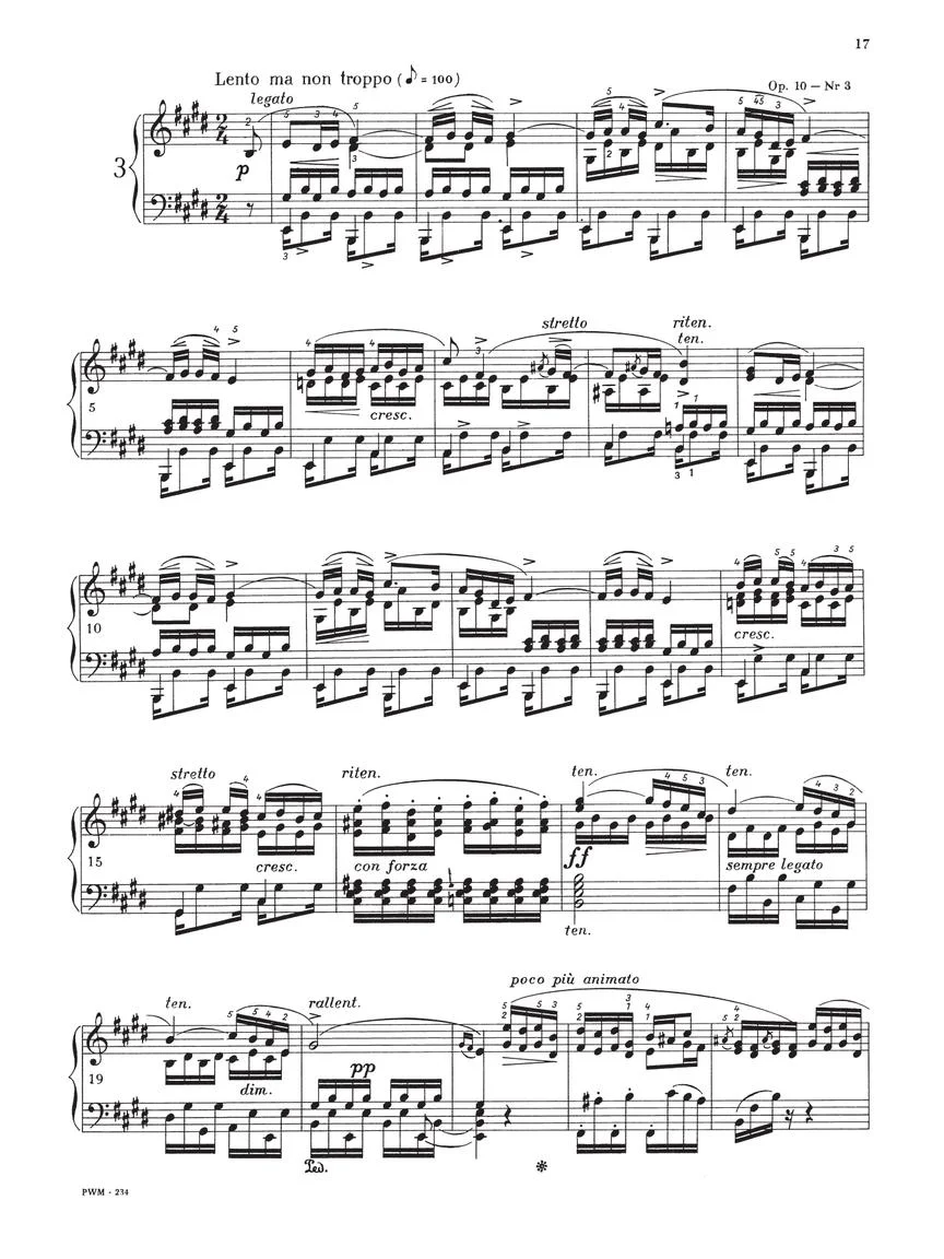 Chopin Studies Paderewski - Image 10
