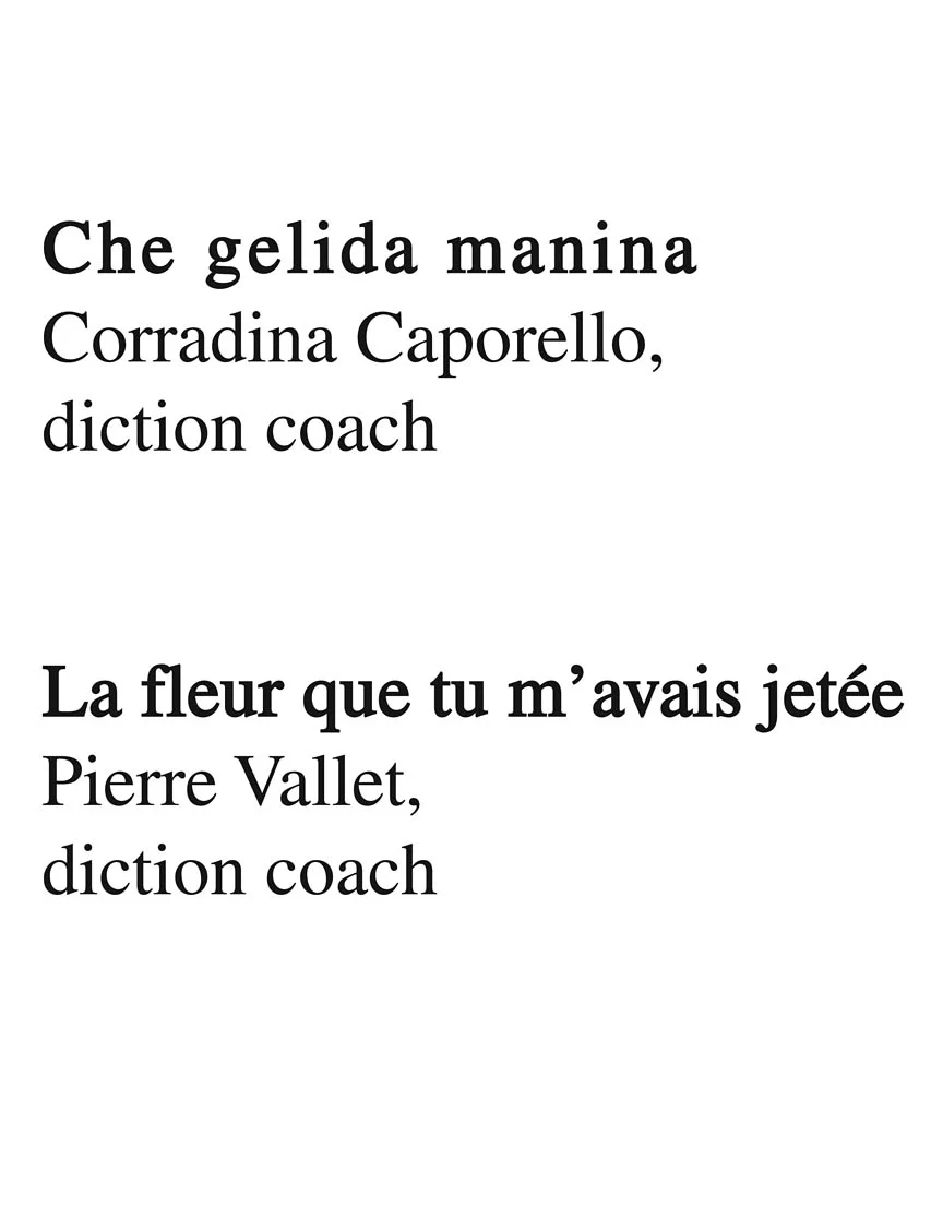 Diction Coach - Tenor - Image 6