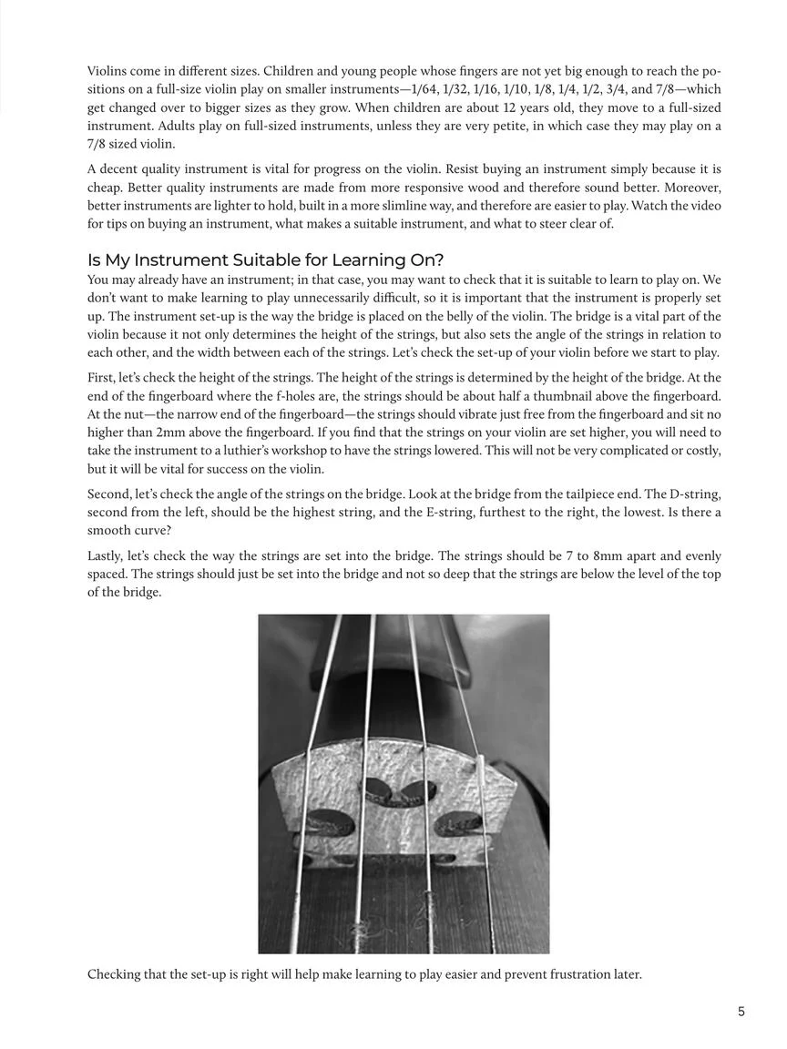 Do-It-Yourself Violin - Image 5