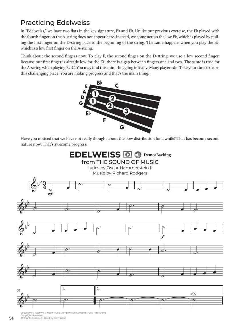 Do-It-Yourself Violin - Image 7