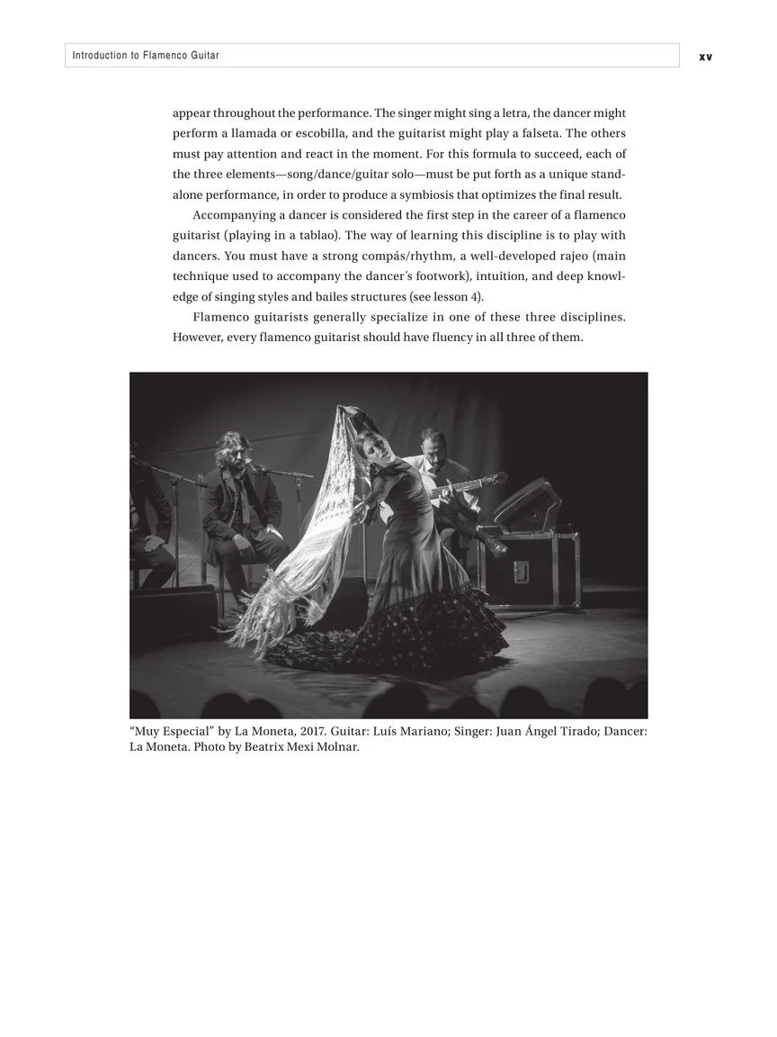 Flamenco Guitar - Image 14