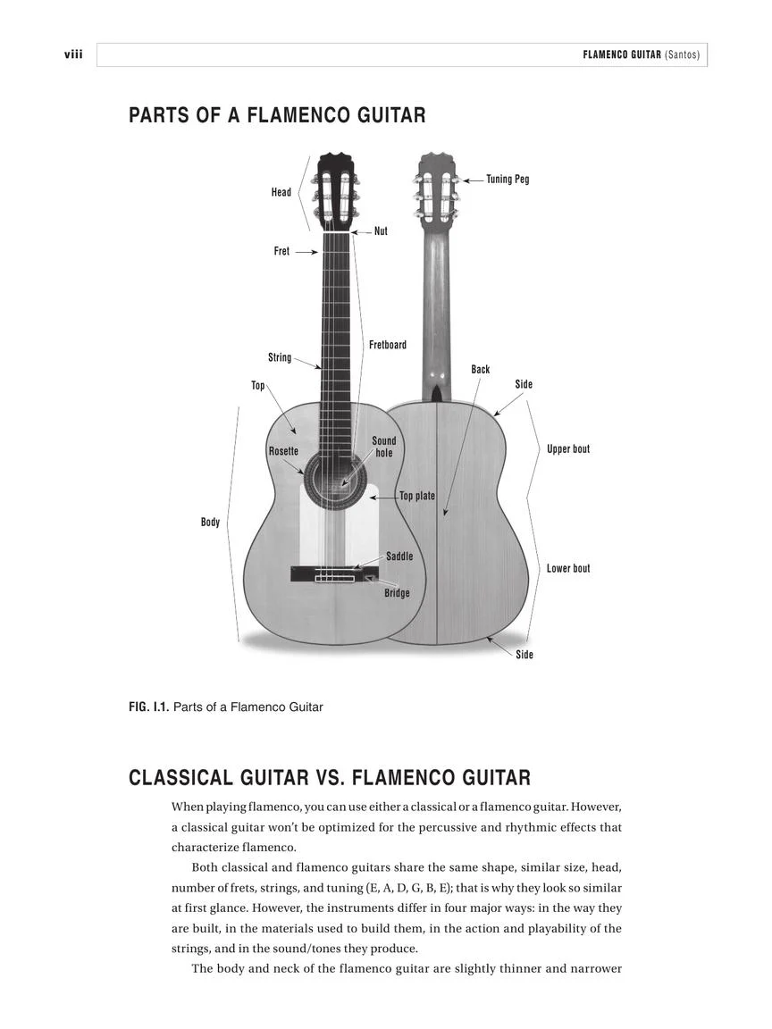 Flamenco Guitar - Image 7