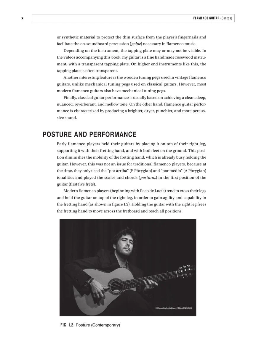 Flamenco Guitar - Image 9