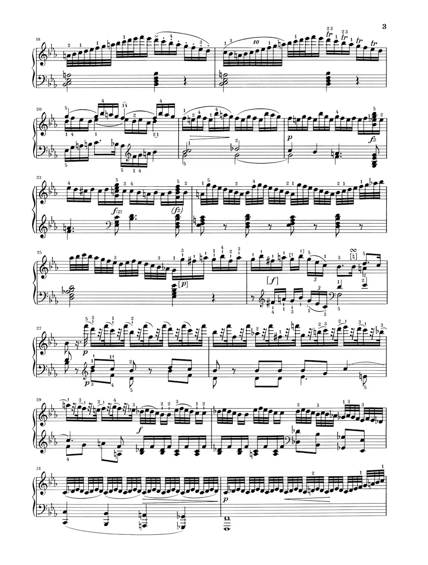 Haydn: Piano Sonata in E flat major Hob. XVI:52 - Image 3
