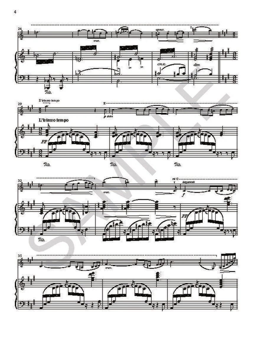 Hubay/Sarasate Dueling Carmens - Image 5