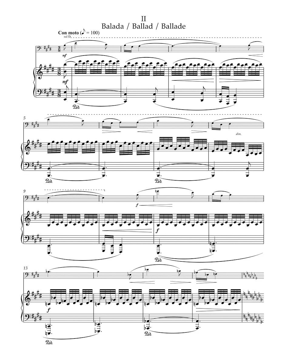 Janáček: Violin Sonata (arr. for cello) - Image 4