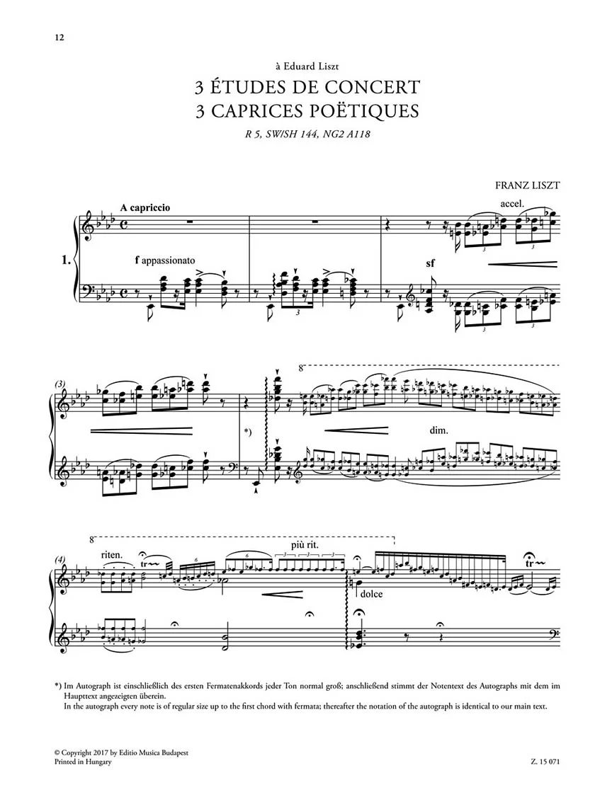 Liszt 3 Etudes de Concert or Piano Solo - Image 2