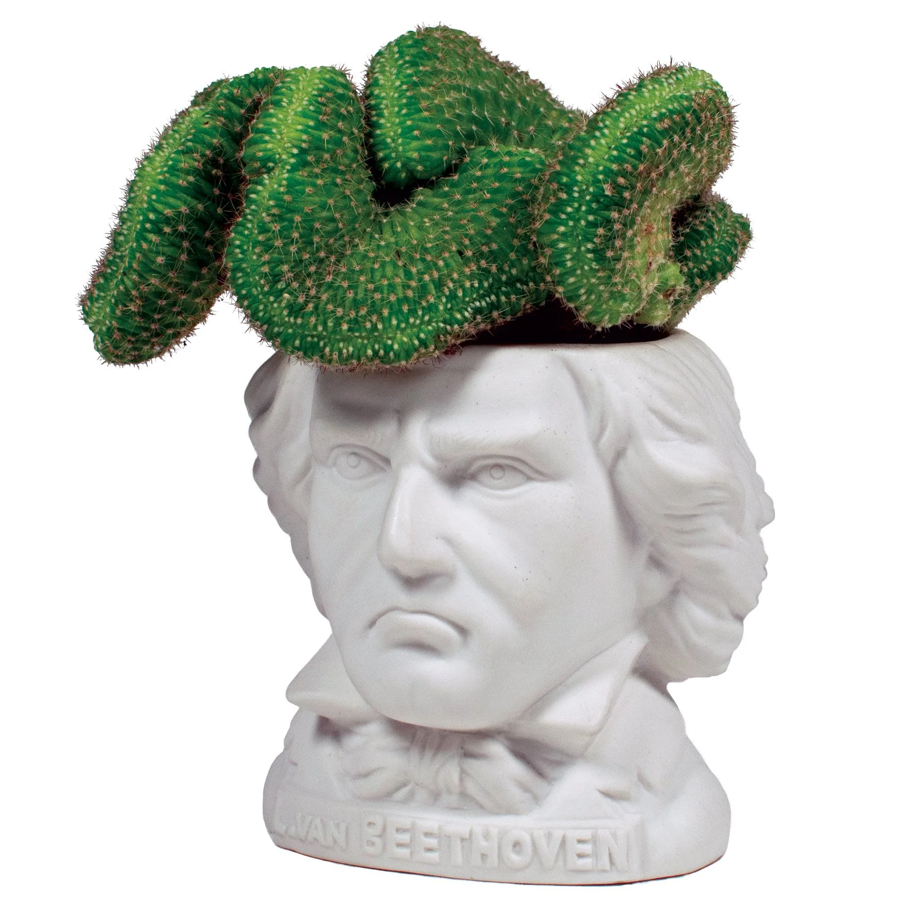 Statuette: Ludwig van Beethoven Planter (3")