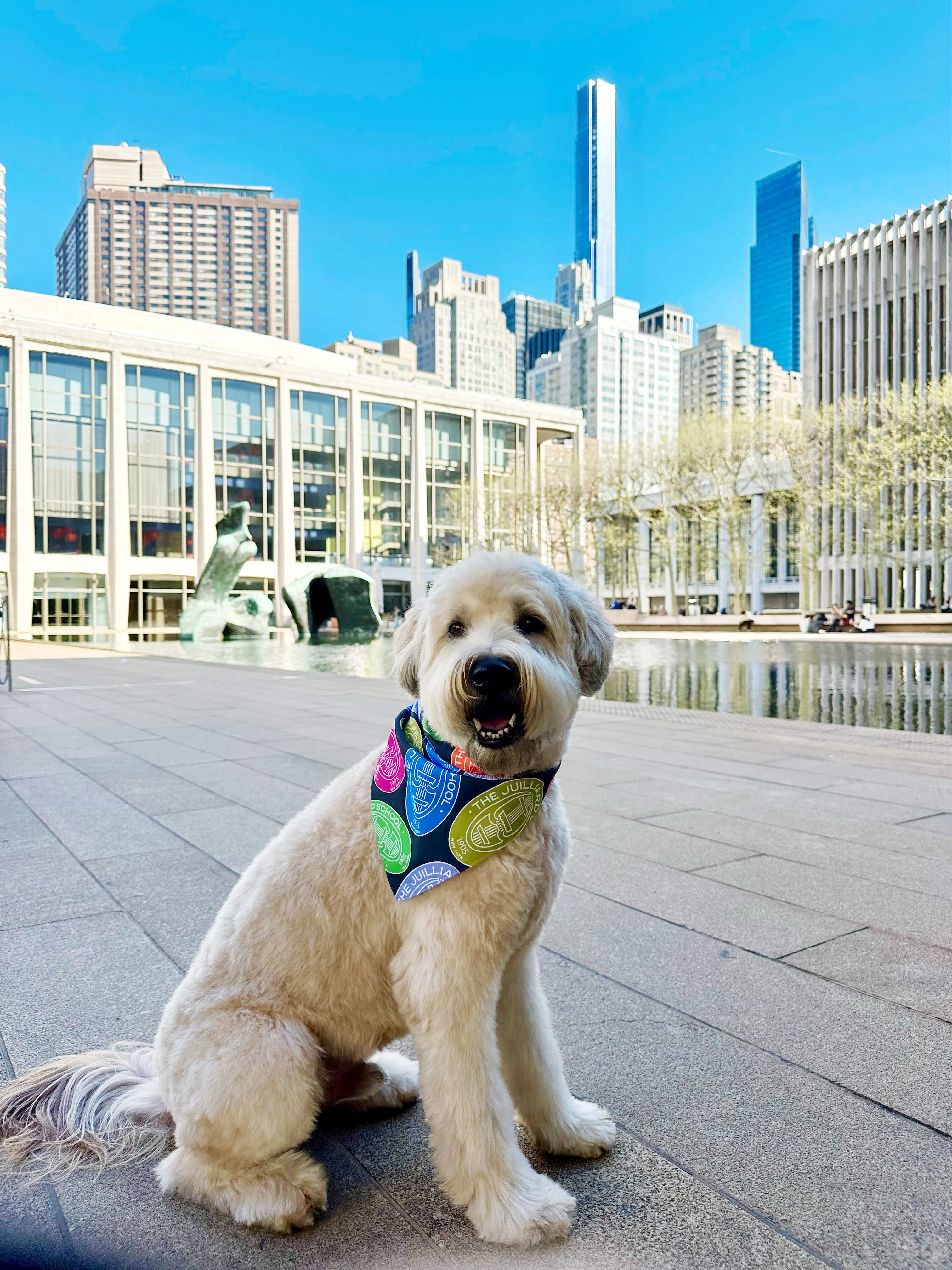 Pet Accessory: Juilliard Bandana with seal pattern - Image 2