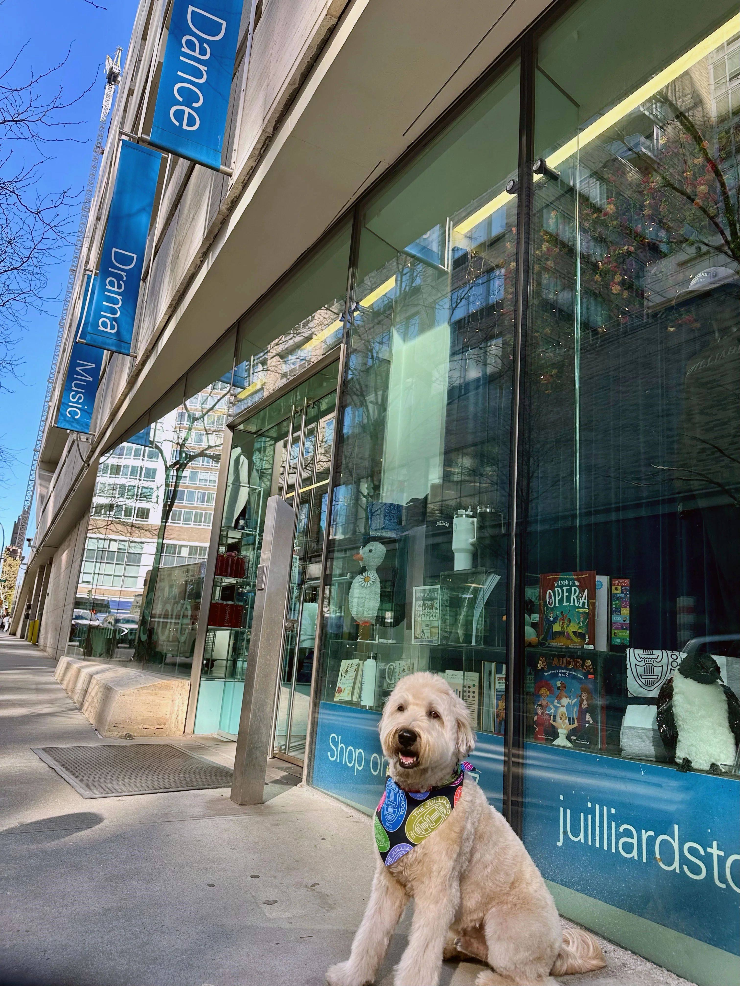Pet Accessory: Juilliard Bandana with seal pattern - Image 7