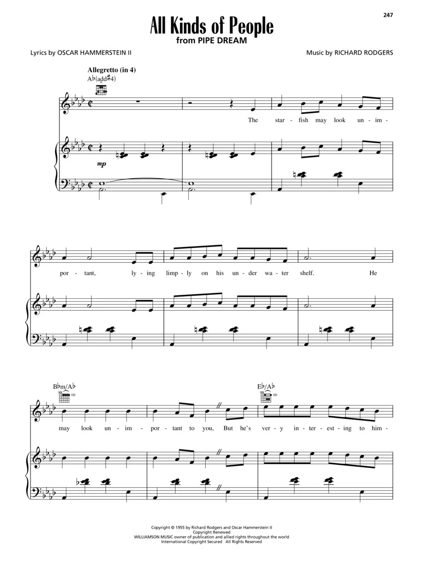 Rodgers & Hammerstein - Collection - Image 9