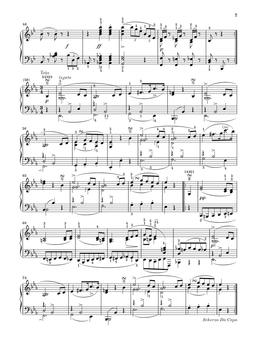Schubert: At the Piano - Schubert - Image 4
