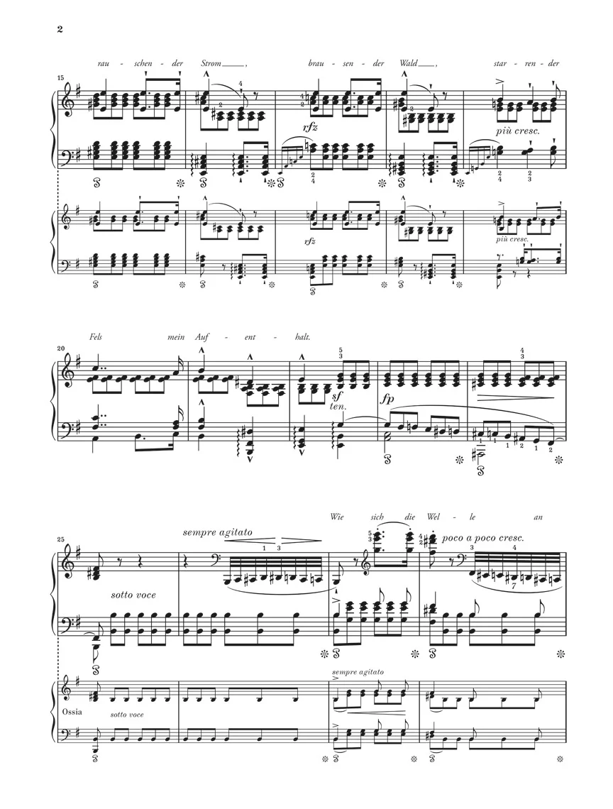 Schubert-Liszt: Resting Place from "Schwanengesang" D 957 - Image 3