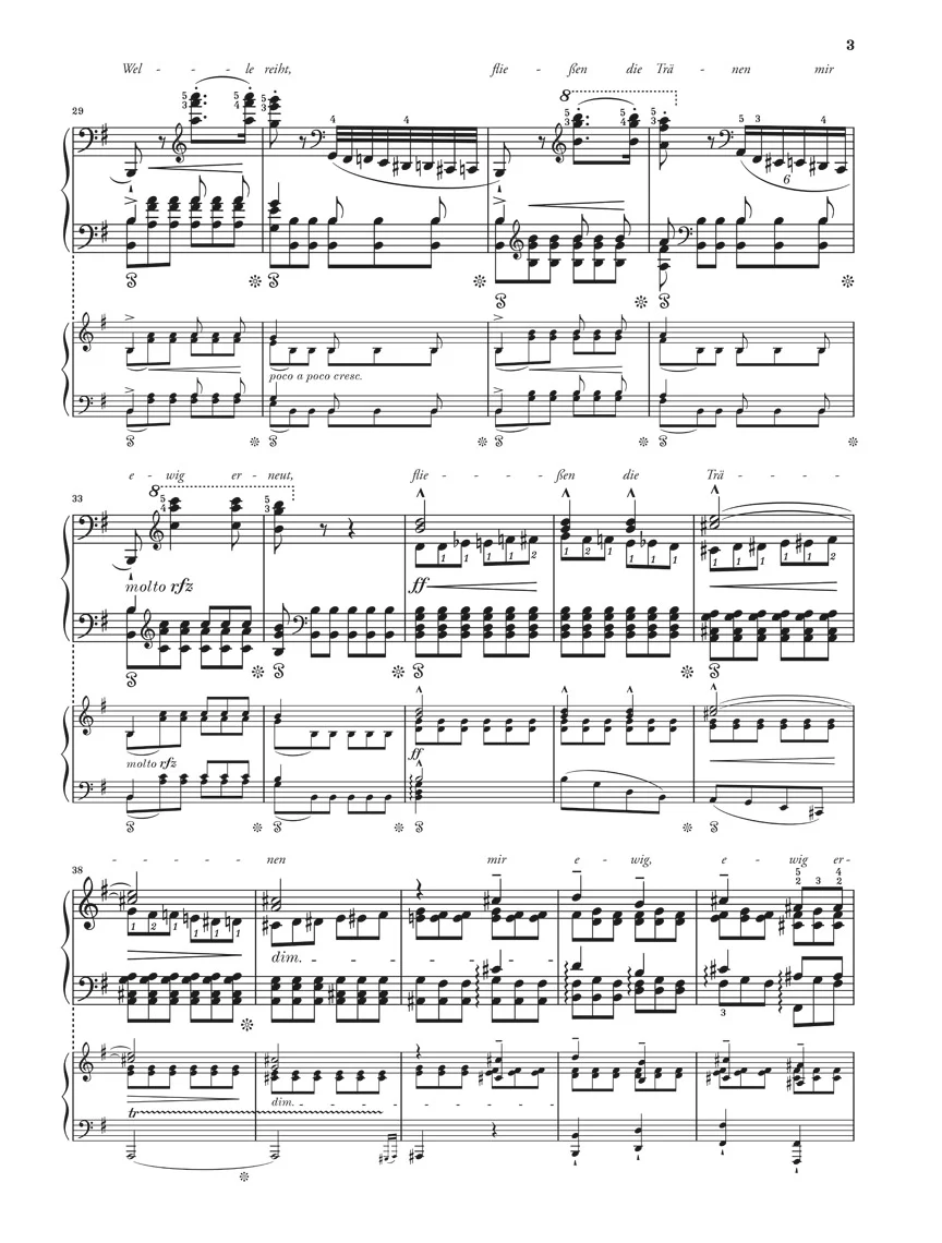 Schubert-Liszt: Resting Place from "Schwanengesang" D 957 - Image 4