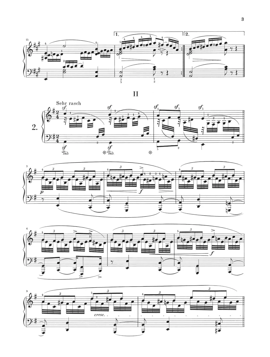 Schumann: Coloured Leaves (Bunte Blätter), Op. 99 - Image 3