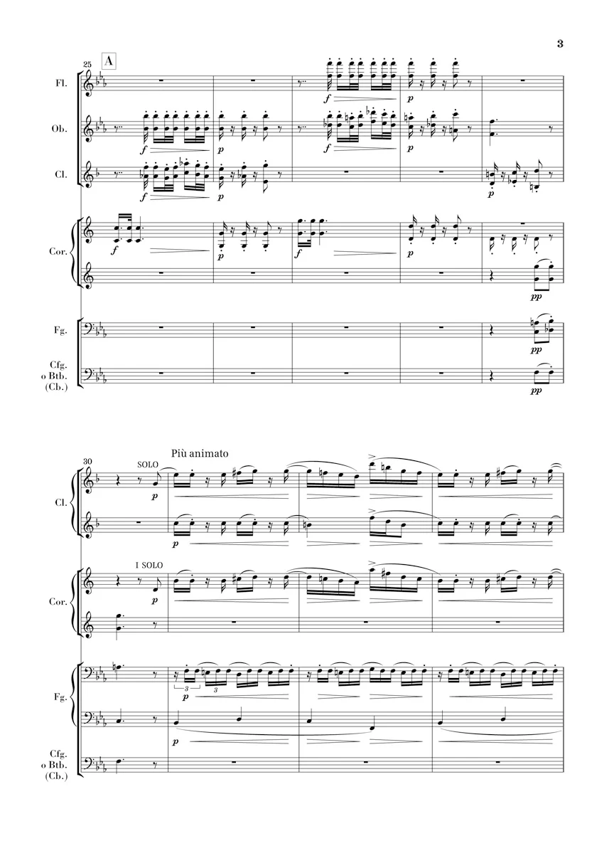 R. Strauss: Serenade for Wind Instruments in E flat major, Op. 7 (Study Score) - Image 4