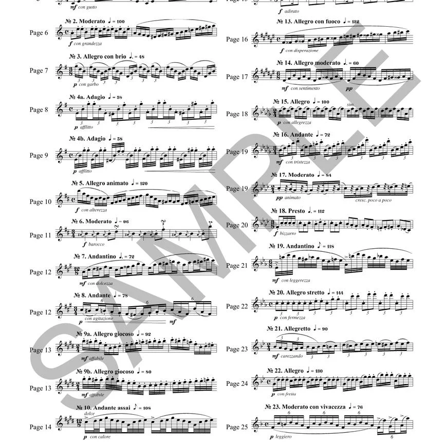 Universal Accompaniments with Flute 2 Parts for Andersen, Berbiguier and Mozart - Image 5