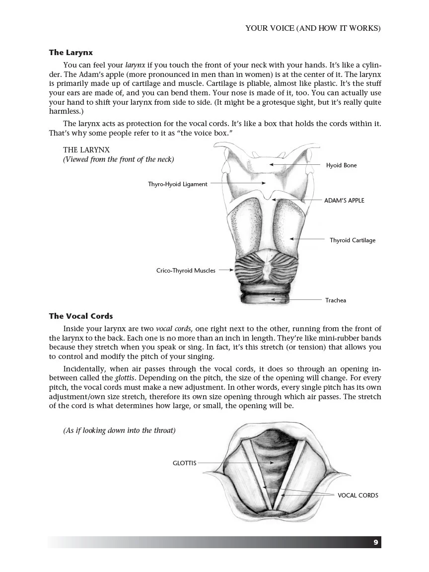 Vocal Technique - A Guide to Finding Your Real Voice - Image 3