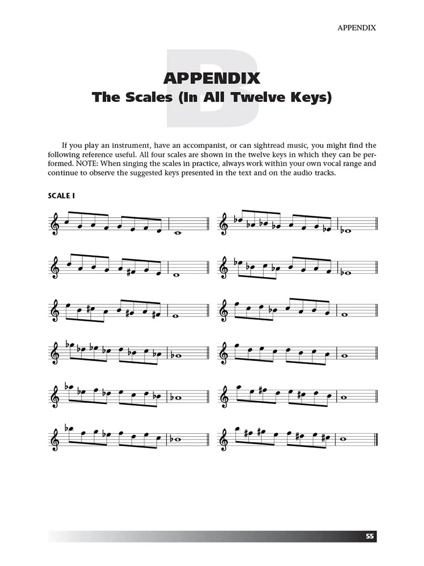 Vocal Technique - A Guide to Finding Your Real Voice - Image 7