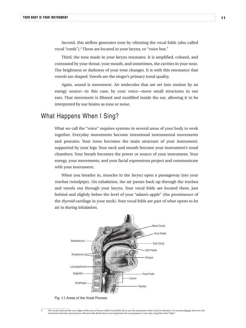 Your Singing Voice: Contemporary Techniques, Expression, and Spirit - Image 23